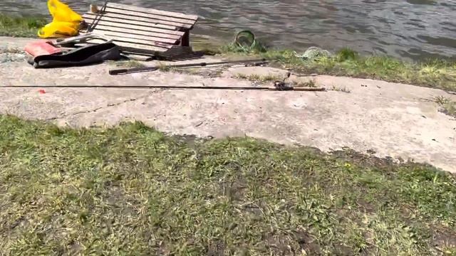 14.05 Рк Фишка Данилово, платник, платная рыбалка, сом на спиннинг, фидер, карповая ловля смотреть онлайн