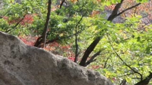 CLIMBING MT BUKHANSAN смотреть онлайн