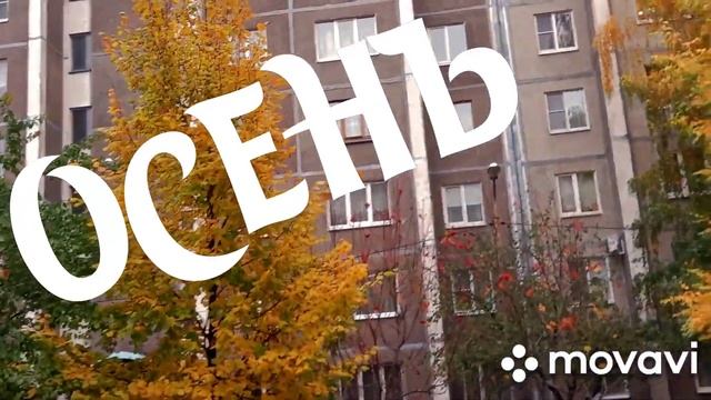 ЛИСТЬЯ ЖЁЛТЫЕ НАД ГОРОДОМ КРУЖАТСЯ смотреть онлайн
