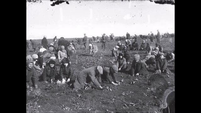 Me Ne Frego Podcast EP17 - HOLODOMOR: Fome e Canibalismo no Pesadelo Comunista смотреть онлайн