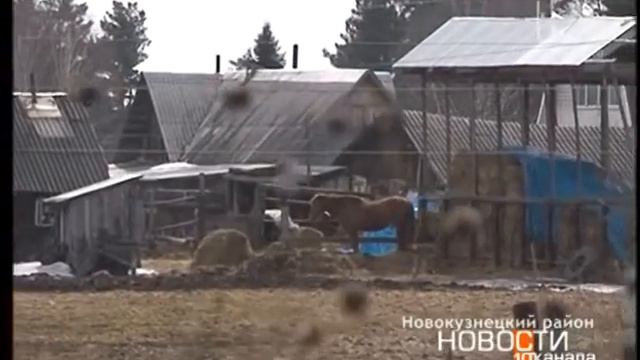 Разрез «Берёзовский» (ЗАО "Стройсервис") проводит масштабное благоустройство в Новокузнецком районе смотреть онлайн