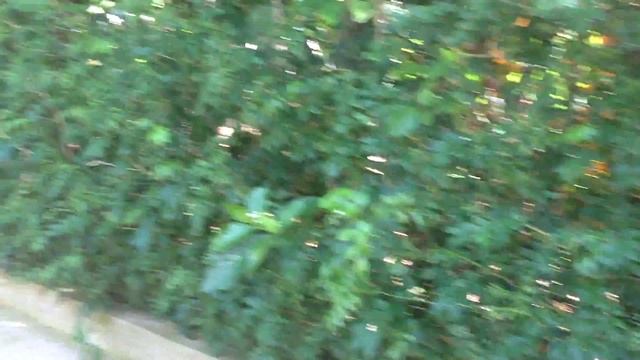 Домики Хоббитов для аренды...) смотреть онлайн