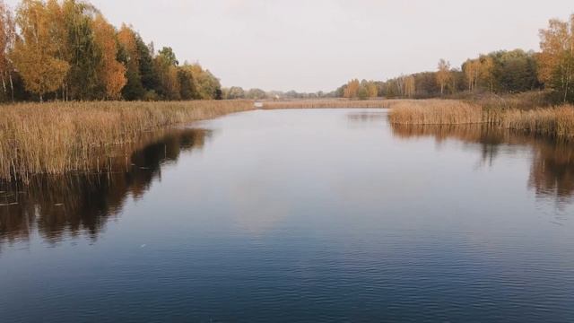 Рецепт универсальной прикормки для карася леща карпа НА ЭТОТ ЗАПАХ СБЕЖИТСЯ ВЕСЬ КАРАСЬ С ВОДОЕМА! смотреть онлайн