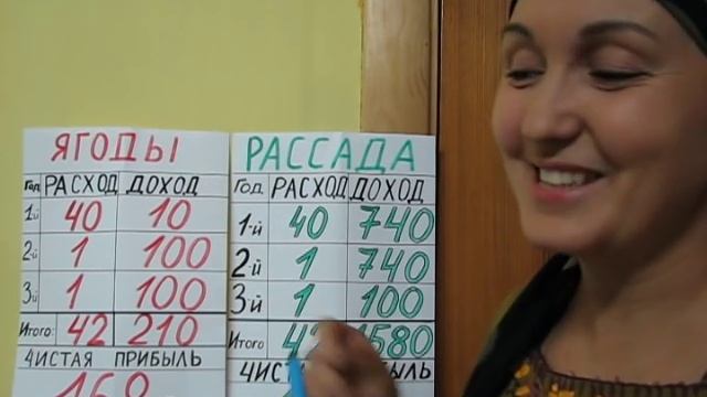 Как заработать на клубнике.Часть 1.Расчеты на 1 куст. смотреть онлайн