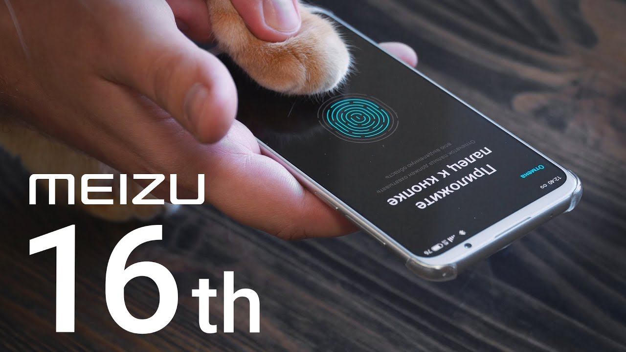 Удивительный Meizu 16th: кошка разблокирует смартфон смотреть онлайн