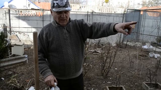 ГОЛУБИКА: ЯГОДА ДЛЯ "ЛОХОВ" смотреть онлайн