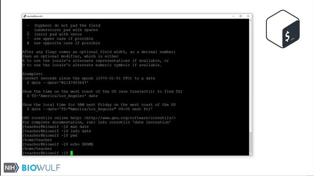 Bash Scripting Class: Simple Commands смотреть онлайн