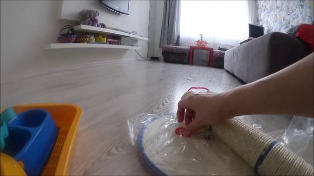 #750 Россия Санкт Петербург Зимняя сказка Обед у Нины Переезд ЭлДжи смотреть онлайн