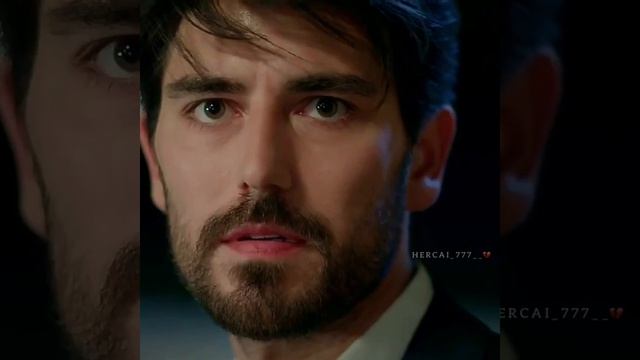 ВЕТРЕНЫЙ 42 ПОЧЕМУ АСЛАН АСЛАНБЕЙ ПОМОГАЕТ МИРАНУ И РЕЯНУ В ЧЕМ ПРИЧИНА