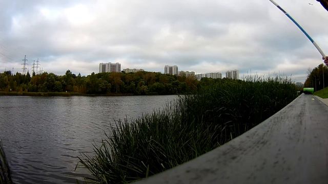 Рыбалка маховой удочкой на Москва реке смотреть онлайн