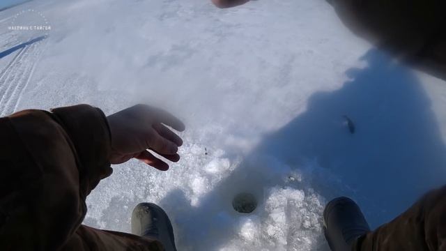 РЫБАЛКА И ПРИКЛЮЧЕНИЯ / НАШЛИ ТОННЫ ЖИВЦА / Ловим по льду в апреле / 3 дня в лесу / Часть 1 смотреть онлайн