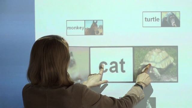 мультитач на ИД ActivBoard смотреть онлайн