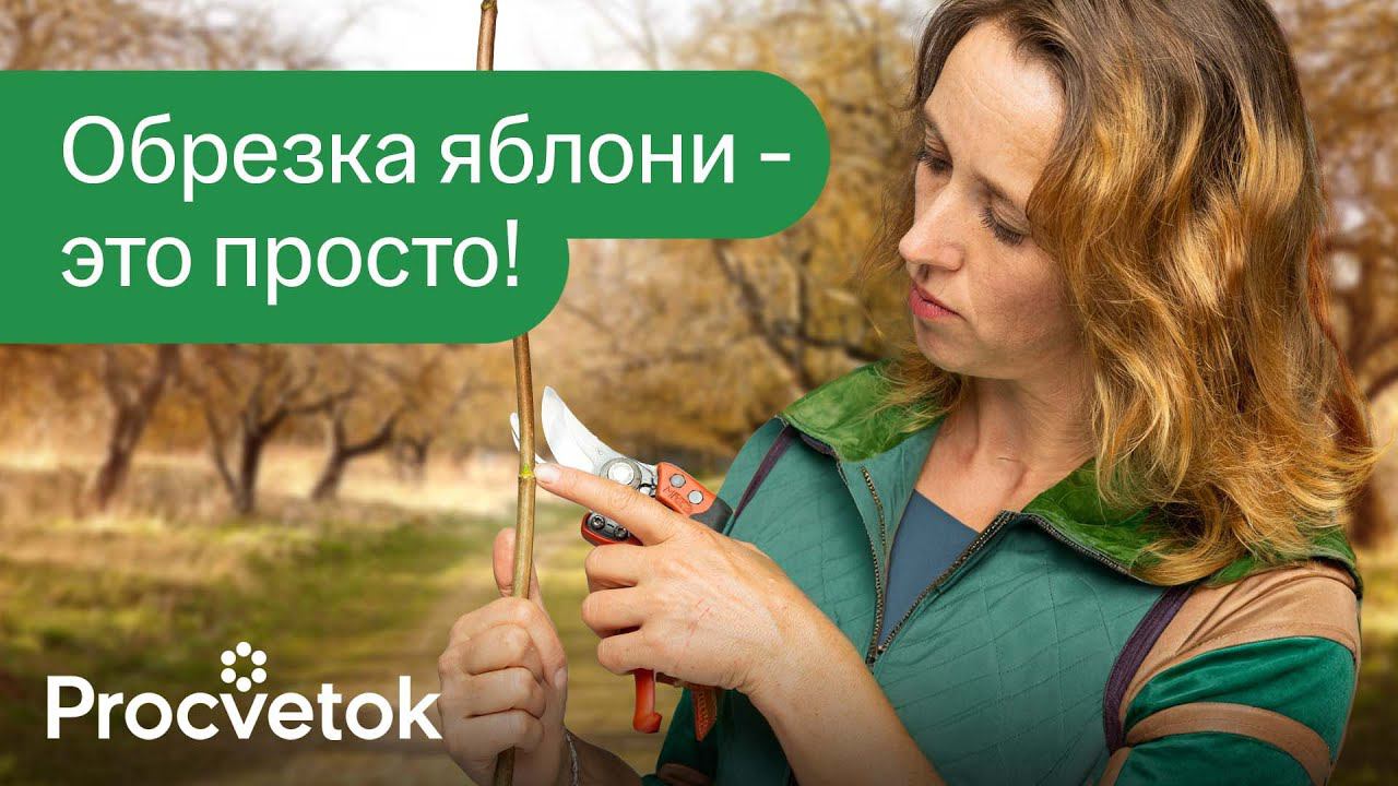 КАК ОБРЕЗАТЬ ЯБЛОНЮ ВЕСНОЙ? Детальная обрезка, которая будет понятна каждому! смотреть онлайн