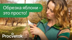 КАК ОБРЕЗАТЬ ЯБЛОНЮ ВЕСНОЙ? Детальная обрезка, которая будет понятна каждому!