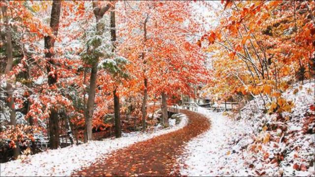 "НАС ХРАНИТ ЛЮБОВЬ" смотреть онлайн