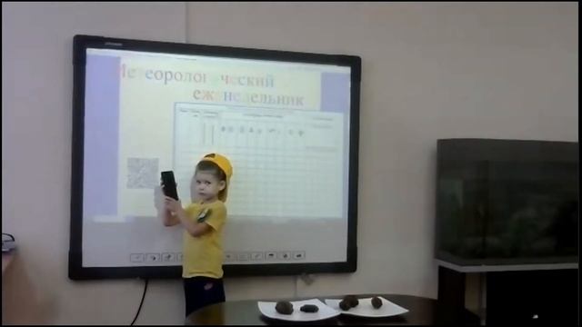 Областной конкурс "Эколята-дошколята" смотреть онлайн