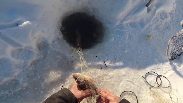 Проверяем сеть на таёжной речке . смотреть онлайн