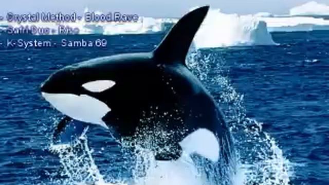 Crystal Method vs Safri Duo vs K-System смотреть онлайн