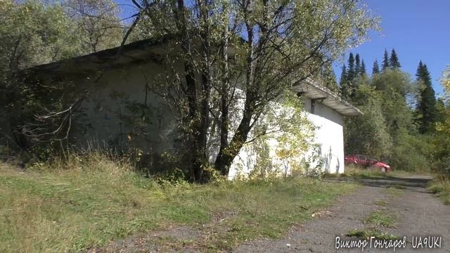 Где растут грибы. Два способа сбора опят смотреть онлайн