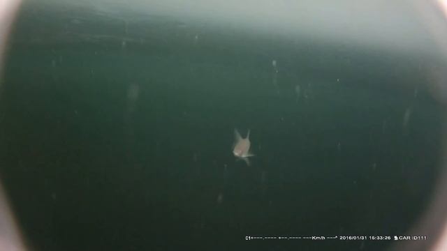 Камера для подледной рыбалки. Измененное видео смотреть онлайн