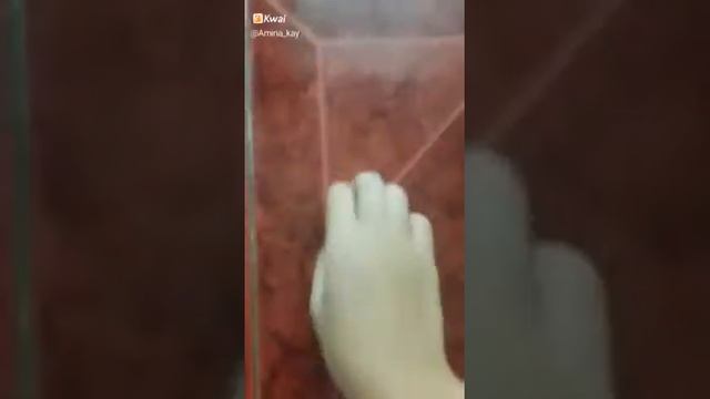 Не когда не берите мистер пропер