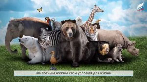 Урок 15  как живут растения и животные   Окружающий мир   1