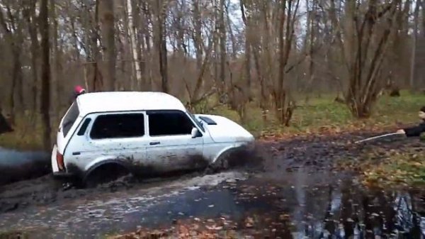 тест контайр кросс роад в лесу