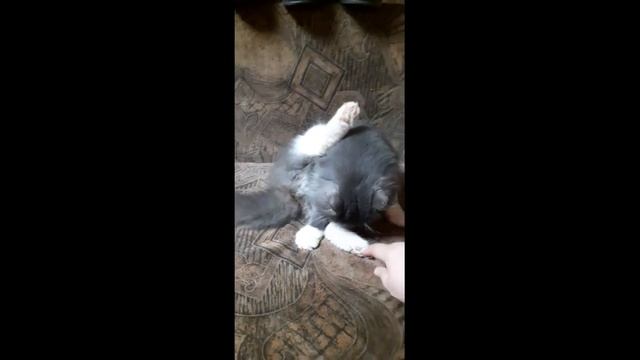 Приколы нашего двора. смотреть онлайн