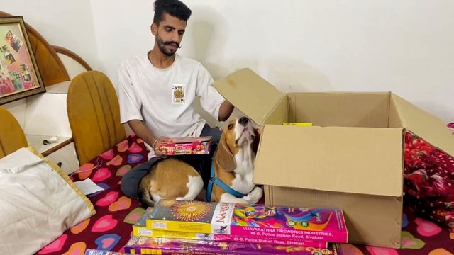 Diwali Shopping?️|| Diwali Stash 2023|| Crackers Video? Diwali Video?VIP56 #diwali #diwalistash смотреть онлайн