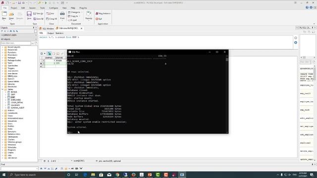 How To change oracle Character set | تغیر زبان در اورکال смотреть онлайн