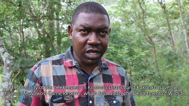 Developing Beekeeping in Kigoma Region - Tanzania смотреть онлайн