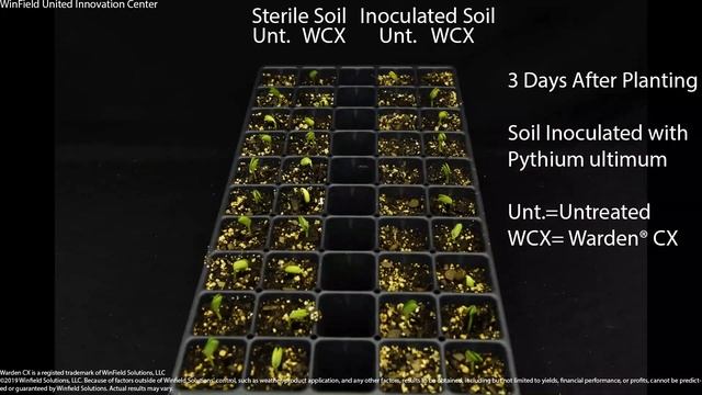 Warden CX Pythium Ultimum смотреть онлайн