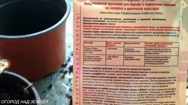 ТОМАТЫ ЗИМОЙ НА ПОДОКОННИКЕ/ПЕРЕСАДКА В ГОРШКИ. смотреть онлайн