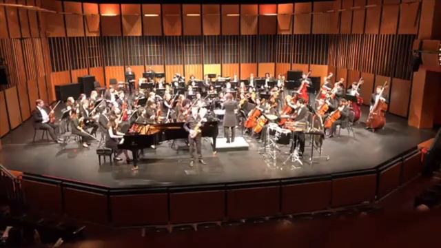 Thomas Kurtz performs Cyber Bird Concerto by Takashi Yoshimatsu смотреть онлайн
