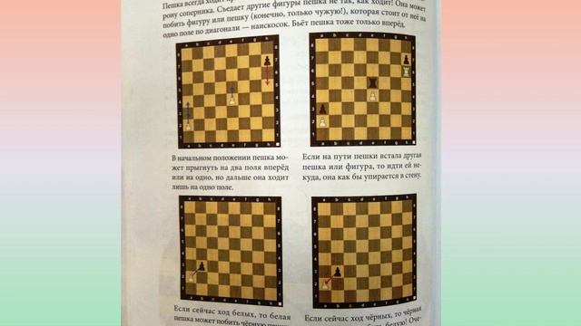 Шахматы для детей. Обучающая сказка в картинках. Презентация книги. смотреть онлайн