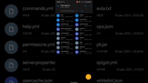 СОЗДАЛ СЕРВЕР MINECRAFT PC НА ТЕЛЕФОНЕ В TERMUX ??? #СпОсОб№2