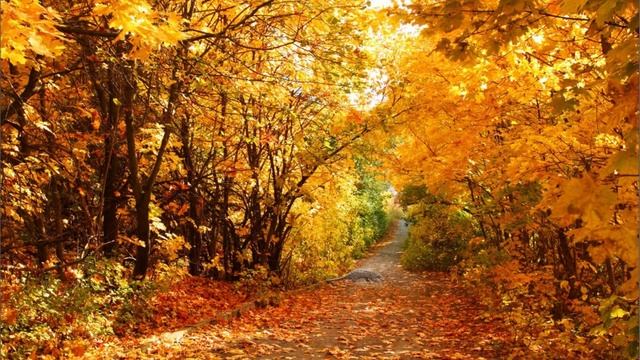 Find the 10 Hidden Animals lost QUIZ| Spot the Hidden Animals lost Game смотреть онлайн
