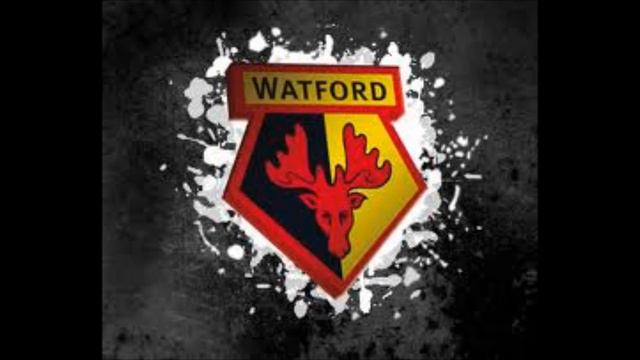 WATFORD FC!!! смотреть онлайн