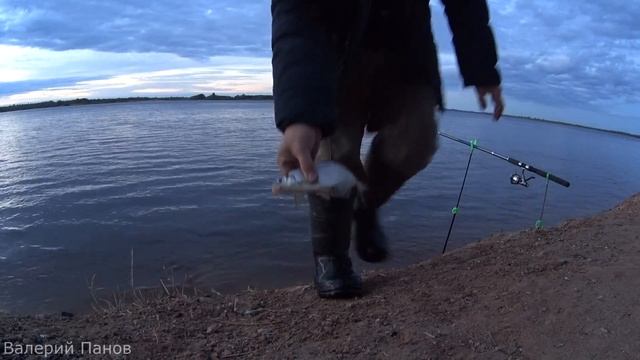 отличный клев и бонусы \ рыбалка на донки \ Северная Двина смотреть онлайн