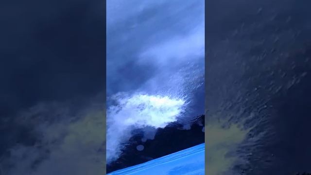 Кисейные берега смотреть онлайн