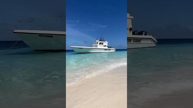 Хотите порыбачить и отдохнуть на Мальдивах? Тогда вы к нам. Туры на Мальдивы с Михаилом Карповичем смотреть онлайн
