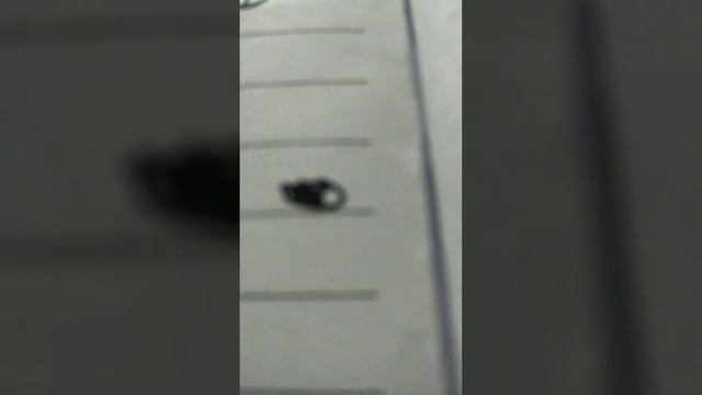 buttercup смотреть онлайн