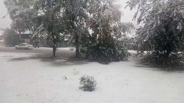 Первый снег в Кемерове. смотреть онлайн