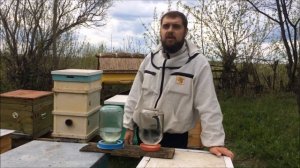 Эксперимент. Соленая или пресная вода? Что выбрали пчелы?