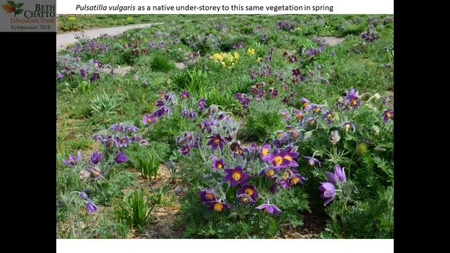 Beth Chatto Symposium: James Hitchmough Creating ecological planting in public landscapes by sowing смотреть онлайн