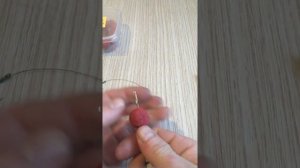 Снасть для ловли сазана