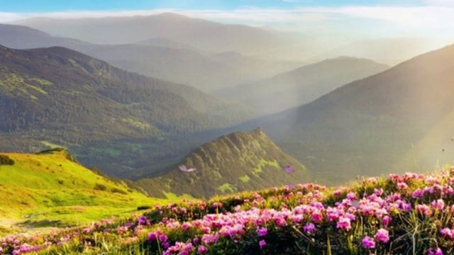 Магические звуки флейты Музыка для души и расслабления/Magic sounds of flute Music for the soul смотреть онлайн