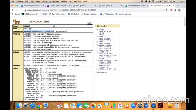 KEGG: A pathway Database смотреть онлайн
