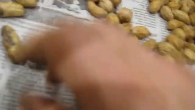 Посылка с семенами арахиса смотреть онлайн