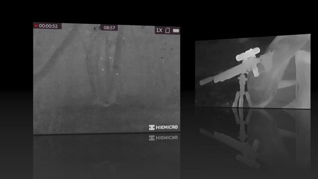 Vermin Control: Can a Sub £600 Thermal do the job, lets find out смотреть онлайн